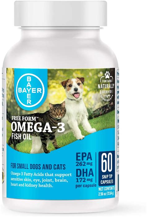 9 Best Fish Oil For Dogs: What You Need to Know Before Buying ...