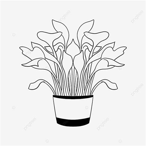 Plant Clipart Vector, Plant Clipart Black And White, Plant, Grass, Clipart PNG Image For Free ...