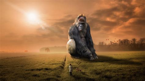 Cool Gorilla Wallpapers - Top Free Cool Gorilla Backgrounds ...