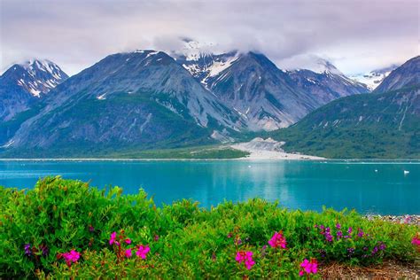 Glacier Bay Nationalpark in Alaska, USA | Franks Travelbox