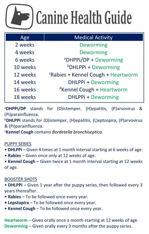 Breeder Litter Record Deworming Vaccines Chart | ubicaciondepersonas ...