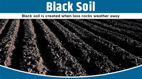 Types of Soil In India And Their Uses For Different Crops