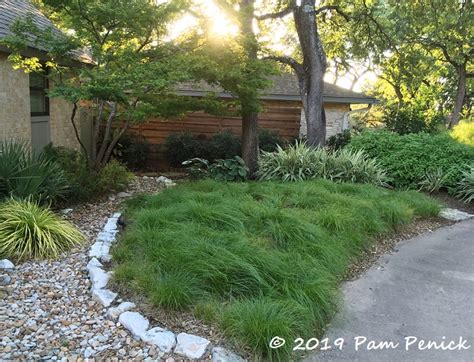 New steel planter and meadowy sedge in my garden - Digging