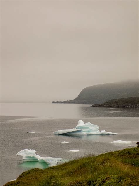 NewFoundland Icebergs on Behance