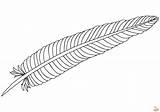 Free Feather Coloring Pages For Kids  GBcoloring sketch template