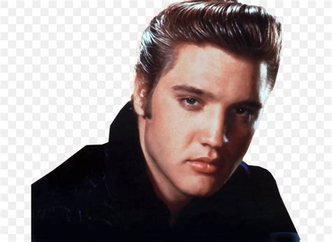 Elvis Presley Hairstyle Pompadour 1950s Rockabilly, PNG, 666x600px ...