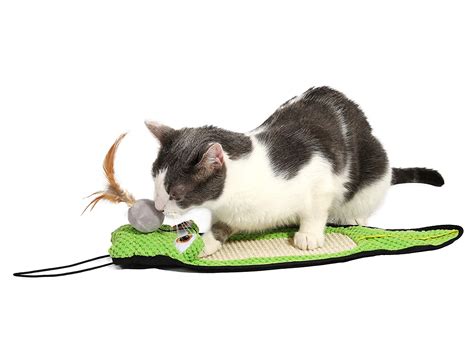 Best Cat Toys for Indoor Cats - Interactive Toys Reviewed | iPetCompanion