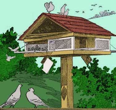 Free Pigeon House Plans - All Free Plans from Stan's Plans