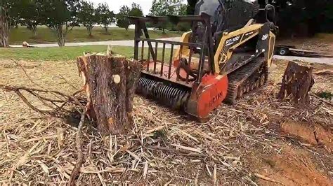 Revolutionary Forestry Mulching Techniques for Efficient Land Clearing in Missouri - Right Way ...