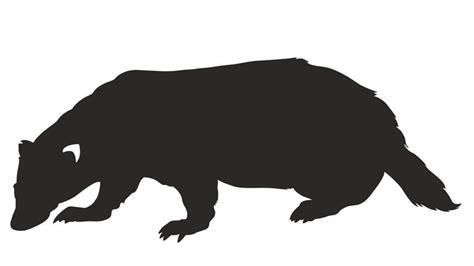 Tasmanian Devil Silhouette at GetDrawings | Free download