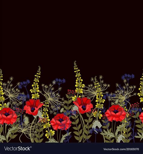 Seamless border with poppies and leaves vector image on VectorStock ...