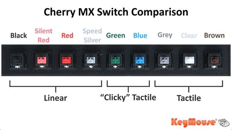 studio Take out insurance Take-up mech keyboard switch types mature Collapse Rust