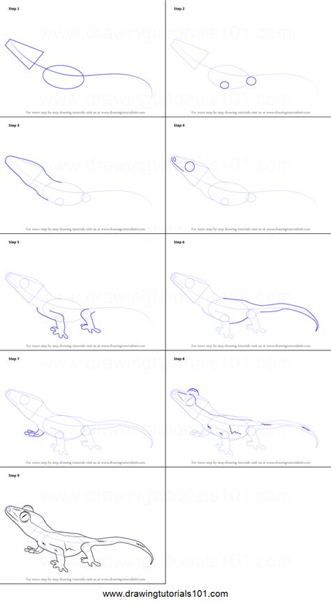 How to Draw a Crested Gecko step by step printable drawing sheet to print. Learn How to Draw a ...