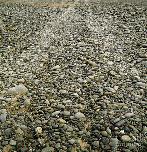 Riverbed Rocks Photograph by THP Creative - Fine Art America