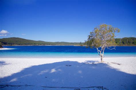 5 reasons you must visit Fraser Island, Australia | Wanderlust