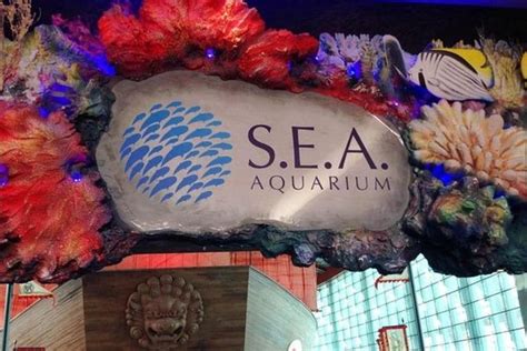 S.E.A. Aquarium One Day Ticket 2024 - Sentosa Island