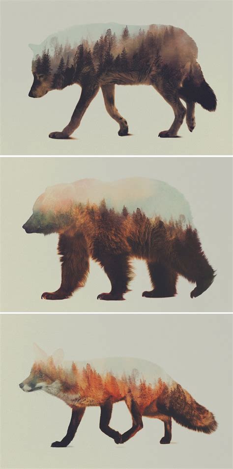 Andreas Lie's Double Exposures of Animals in the Wild | My Modern Shop ...