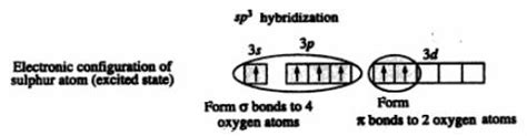 what will be the hybridization of H2SO4 and how plz explane - Chemistry - Coordination Compounds ...