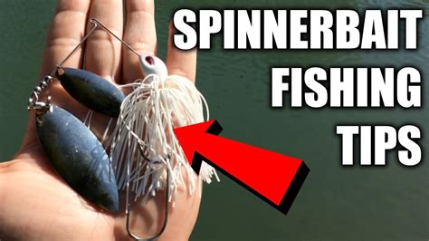 Spinnerbait Fishing Tips - How to Catch More Fish - YouTube