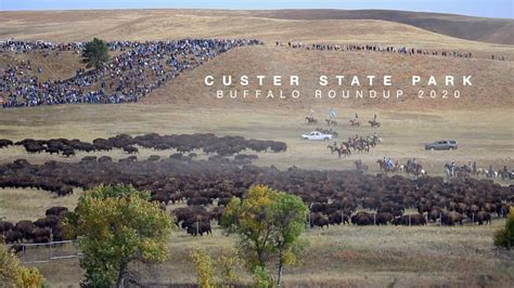 Custer State Park Buffalo Roundup 2020 - Everything You Need to Know - YouTube