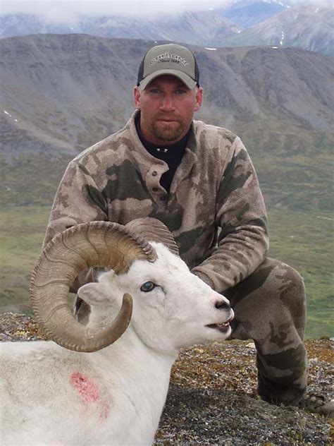 Sheep | Big Game Hunting in British Columbia, Canada