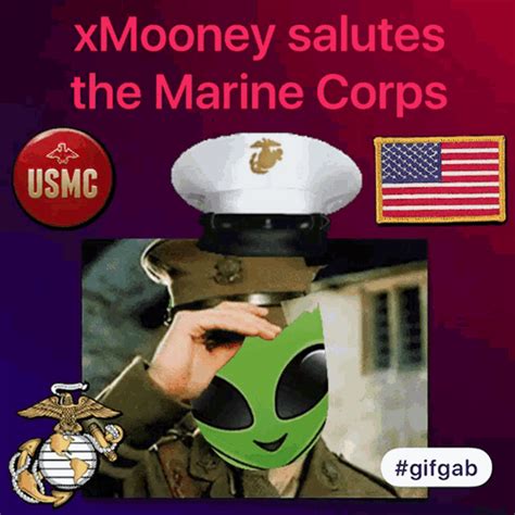 Usmc Marine Corps GIF - Usmc Marine Corps Xmooney - Descobrir e Compartilhar GIFs