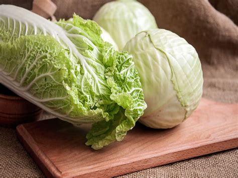 Cabbage vs. Lettuce: 7 Key Differences and Health Benefits 2024