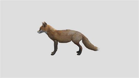 Fox - 3D model by rosser12345678910 [151545e] - Sketchfab