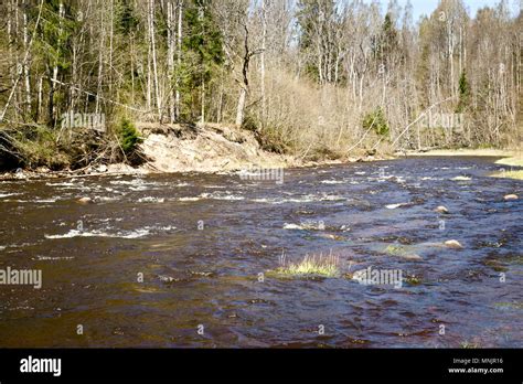 River Ogre, Latvia Stock Photo - Alamy