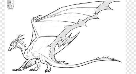 Wyvern Dragon Drawing