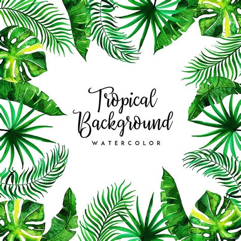 Tropical Leaves Watercolor Vector Design Images, Watercolor Tropical Floral And Leaves ...