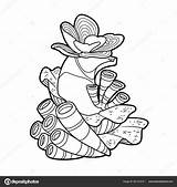 Corals Various Sponges Grow Rocks Coloring Book Linear Drawing Isolated  sketch template