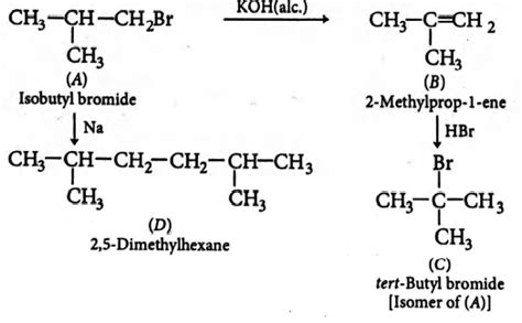 Primary alkyl halide C4H9Br (A) on reaction with alcoholic KOH gives ...