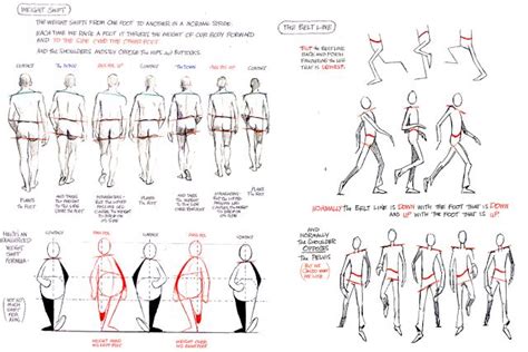 an image of a drawing process with different poses and body shapes for the human figure