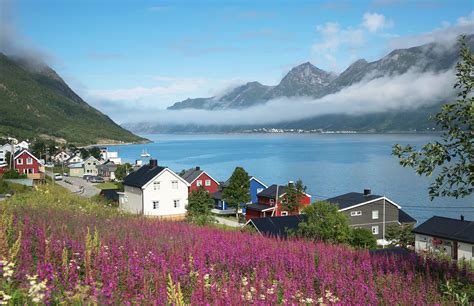 Introducing Senja Island in Northern Norway - Life in Norway