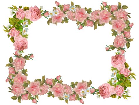 Floral frame PNG