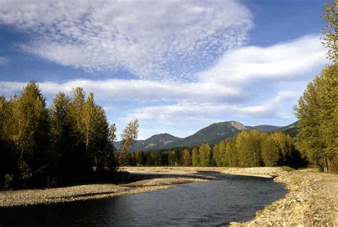 Cowlitz & Cispus Rivers – Packwood Visitor Center