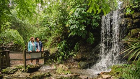 Rainbow Springs State Park | Florida State Parks