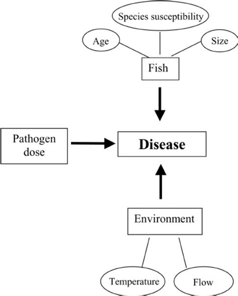 Schematic diagram depicting examples of inputs for assessing the... | Download Scientific Diagram