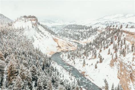 The Ultimate Yellowstone in Winter Guide: Everything You Need to Know