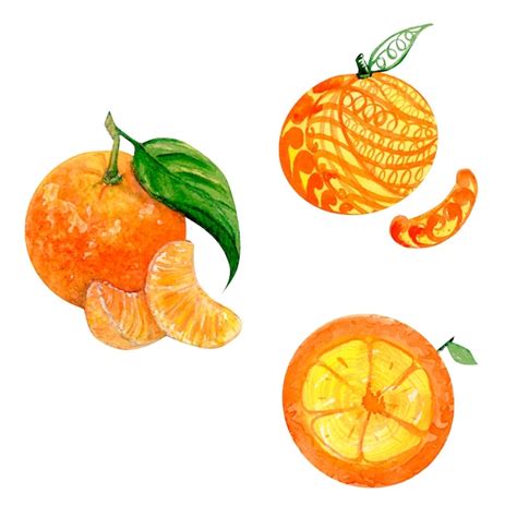 Premium Photo | Orange watercolor on white background hand drawn ...