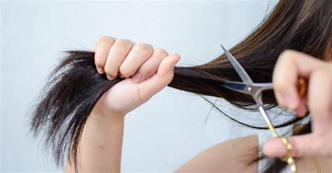 How to cut your hair and do your nails at home - CNET