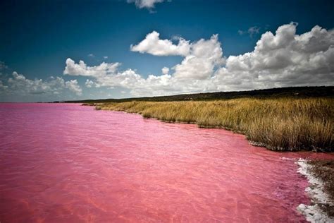 Lake Retba's Rosy Waters