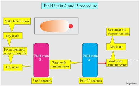 Field Stain A and B solution preparation and staining...