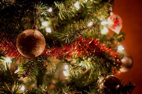 A History of Christmas Trees: From Pagan Roots to Modern Symbols - Chicksinfo.com