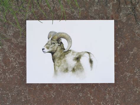 Bighorn Sheep Print of Watercolor Painting Rocky Mountain Ram - Etsy Canada