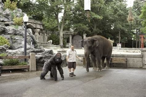 Movie Network: Zookeeper Movie Review