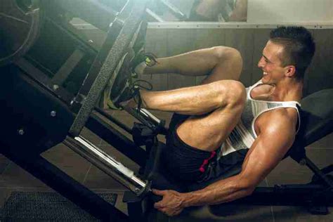 Seated Leg Press: Benefits, Muscles Worked, & Best Machines | Noob Gains