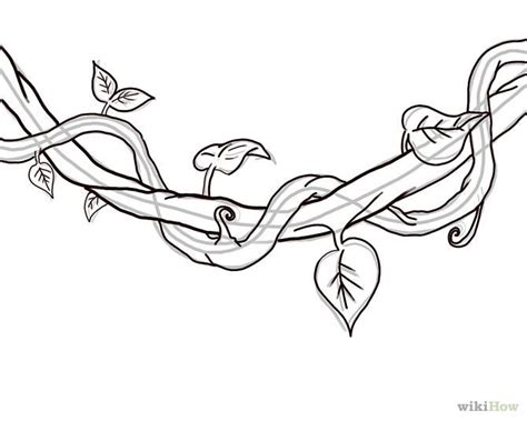 Simple diagram to help draw twisted vines | Vine drawing, Flower drawing, Jungle art