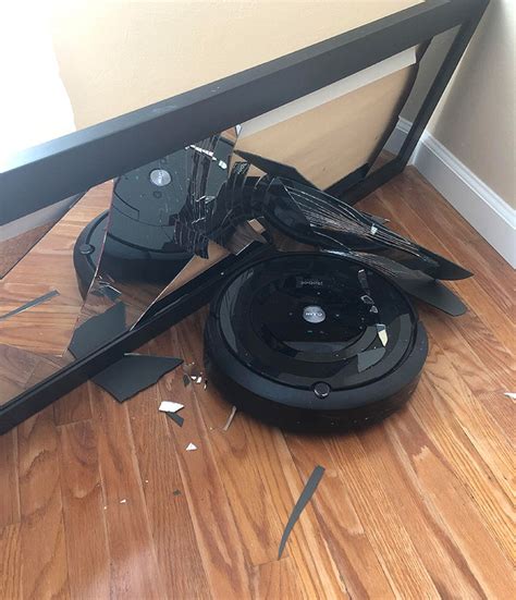 People Are Sharing Their Funniest Roomba Fails (35 Pics)